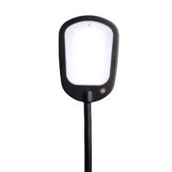 Newhouse Lighting Apollo 52 In. Black Floor Lamp -Lightify Store 1361eb2c 2e4c 485f 8ee4 e6b870a9d56c
