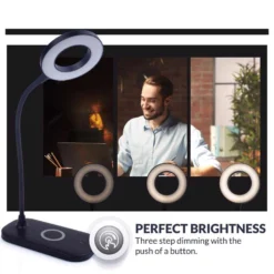 Newhouse Lighting Zlata 12 In. Black Desk Lamp -Lightify Store 6b0bc049 5800 42c4 86ca 30ec66d1f6e7