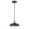 Westinghouse Ida Matte Black 1 Lights Pendant Light