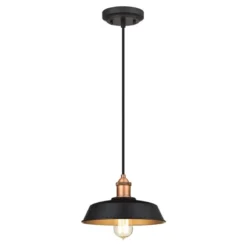 Westinghouse Ida Matte Black 1 Lights Pendant Light