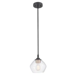 Globe Electric Harrow Matte Black 1 Lights Pendant Light