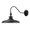 Globe Electric Aedan 1-Light Black Wall Sconce