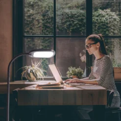 Newhouse Lighting Apollo 52 In. Black Floor Lamp -Lightify Store e8795e40 5660 4bc2 ab5a 3fc7273160b7